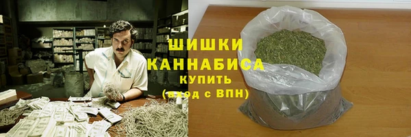 ГАЛЛЮЦИНОГЕННЫЕ ГРИБЫ Тында