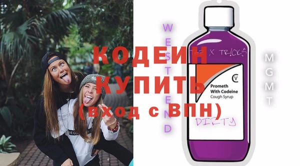 стаф Туринск
