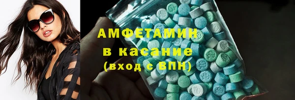 стаф Туринск