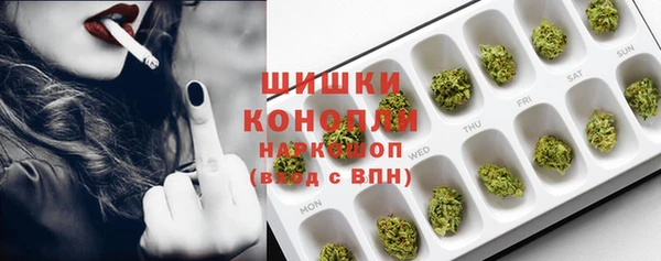 стаф Туринск
