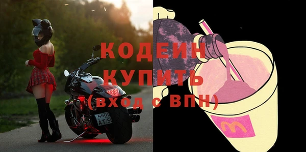 стаф Туринск