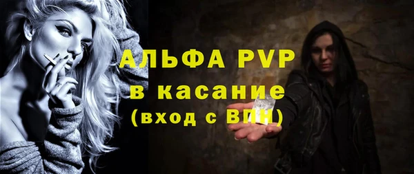 гашик Тутаев