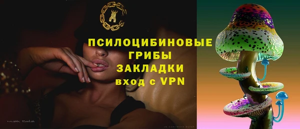 стаф Туринск