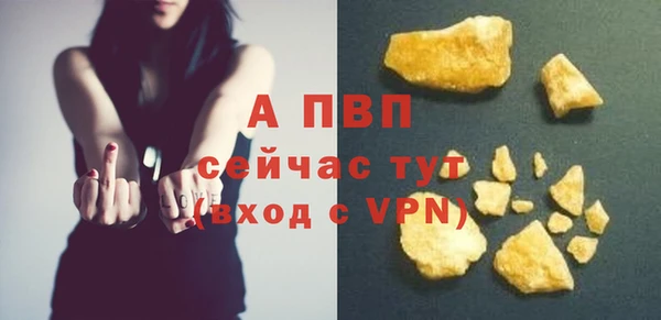 гашик Тутаев