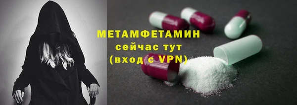 стаф Туринск