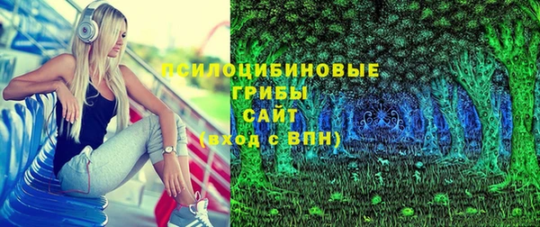 гашик Тутаев
