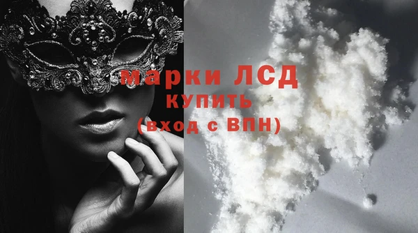 стаф Туринск