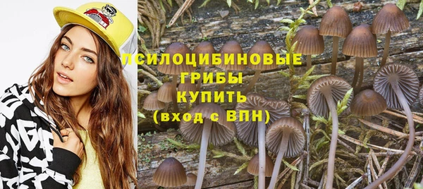 гашик Тутаев