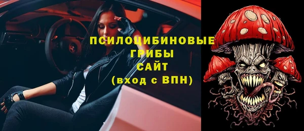 стаф Туринск