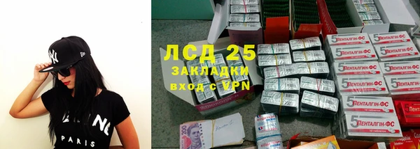 стаф Туринск